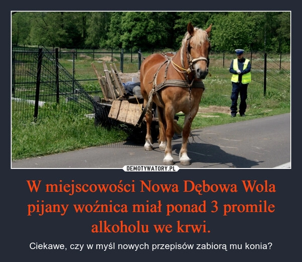 
    W miejscowości Nowa Dębowa Wola pijany woźnica miał ponad 3 promile alkoholu we krwi. 