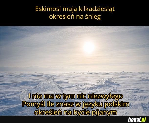 
    Ciekawostka