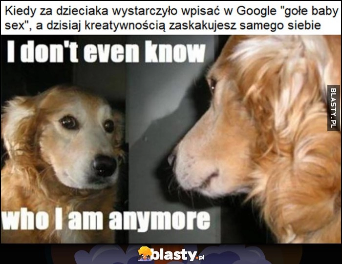 
    Kiedy za dzieciaka wystarczyło wpisać w google proste hasło, a dzisiaj kreatywnością zaskakujesz samego siebie pies: nie wiem już kim jestem