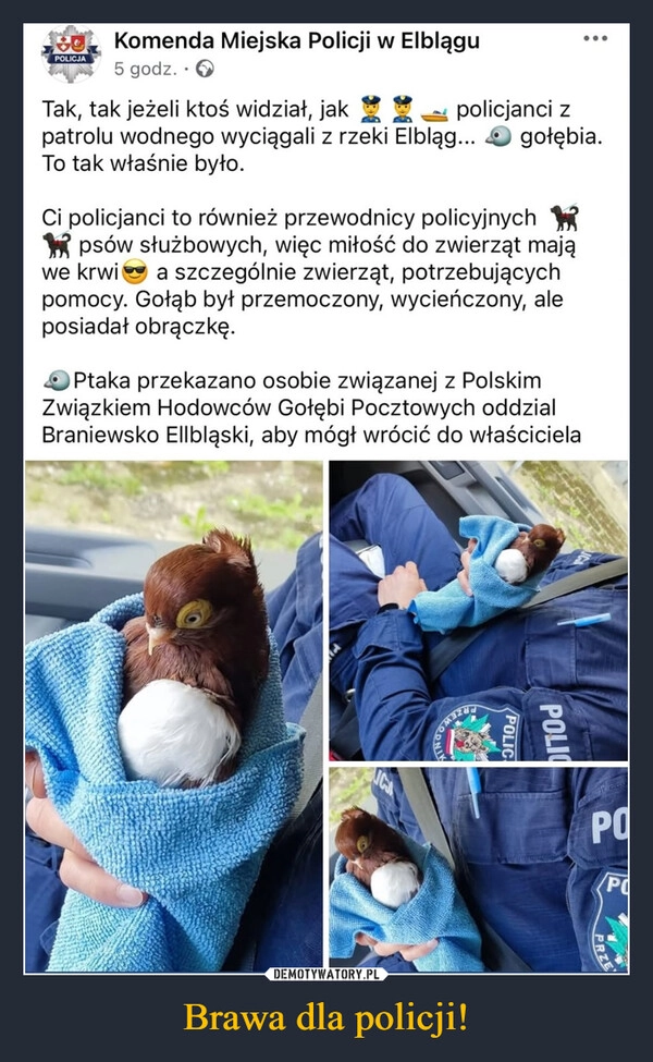 
    Brawa dla policji!