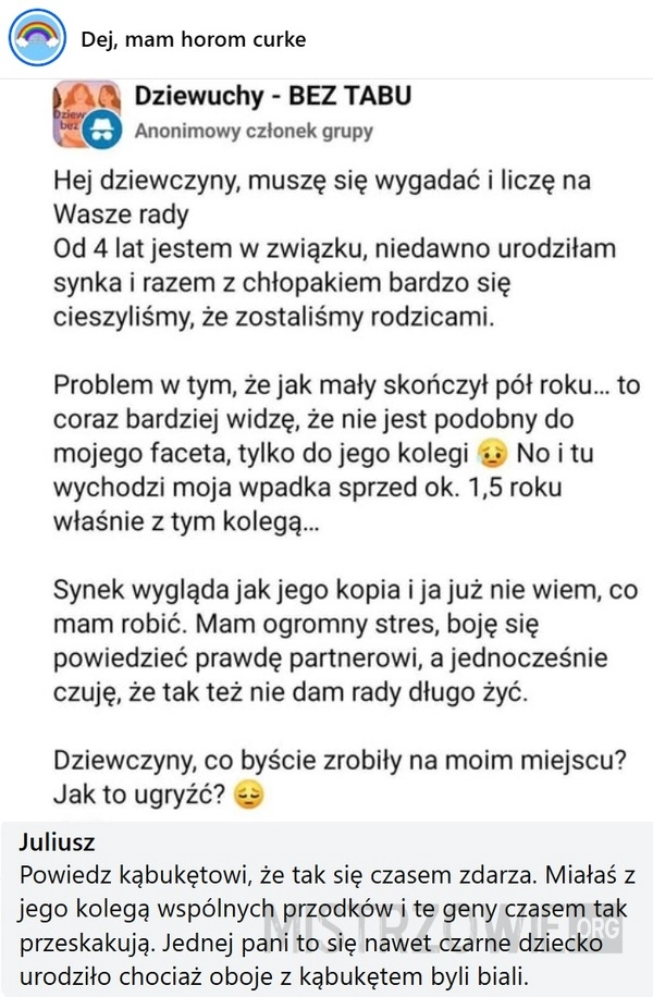 
    Synek