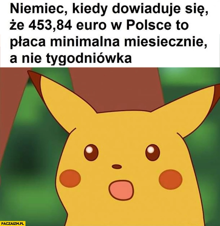 
    Niemiec kiedy dowiaduje się, że 453 euro w Polsce to płaca minimalna miesięcznie a nie tygodniówka Pikachu