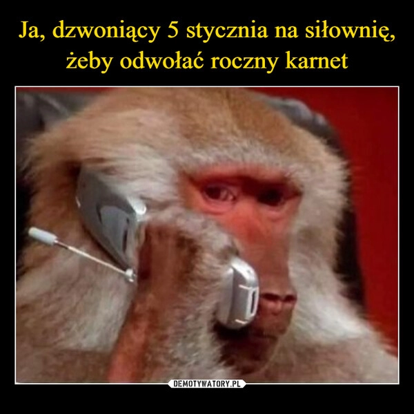 
    Ja, dzwoniący 5 stycznia na siłownię, żeby odwołać roczny karnet 