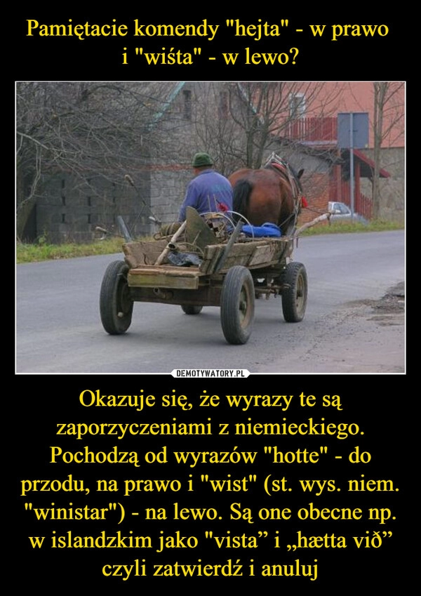 
    Pamiętacie komendy "hejta" - w prawo 
i "wiśta" - w lewo? Okazuje się, że wyrazy te są zaporzyczeniami z niemieckiego. Pochodzą od wyrazów "hotte" - do przodu, na prawo i "wist" (st. wys. niem. "winistar") - na lewo. Są one obecne np. w islandzkim jako "vista” i „hætta við” czyli zatwierdź i anuluj