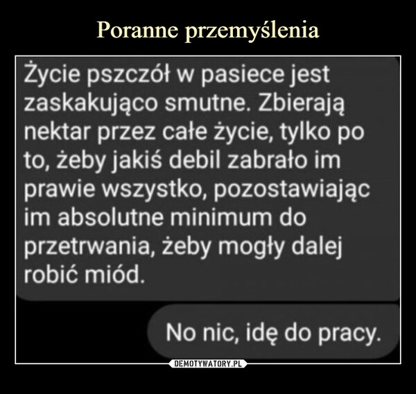 
    Poranne przemyślenia