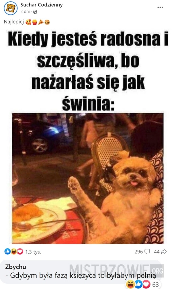 
    Jak świnia