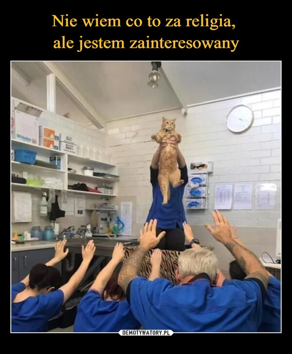 
    Nie wiem co to za religia, 
ale jestem zainteresowany