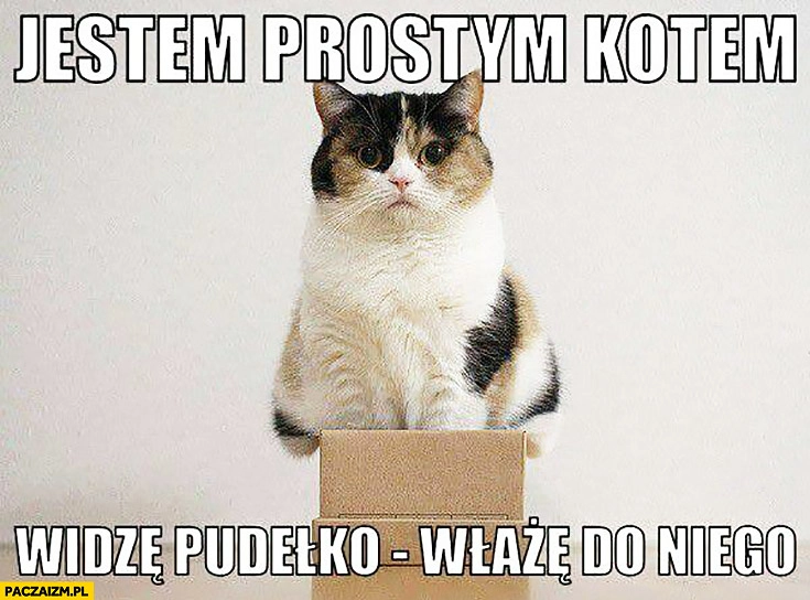 
    Jestem prostym kotem widzę pudełko, włażę do niego