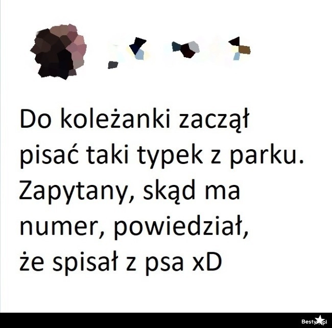 
    Typek z parku 