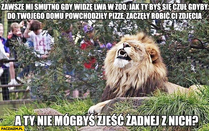 
    Zawsze mi smutno gdy widzę lwa w zoo, jak ty byś się czuł gdyby do Twojego domu powchodziły pizze, zaczęły Ci robić zdjęcia a Ty nie mógłbyś zjeść żadnej z nich
