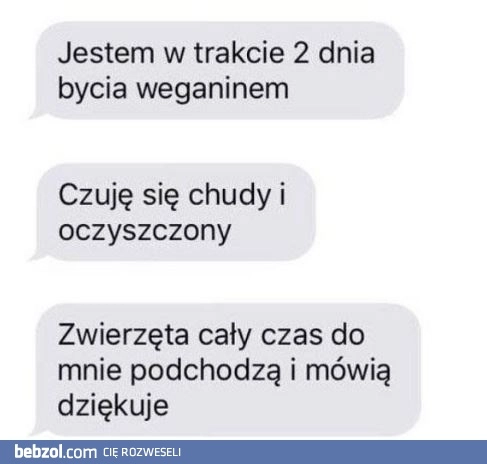 
    Oczyszczenie siebie