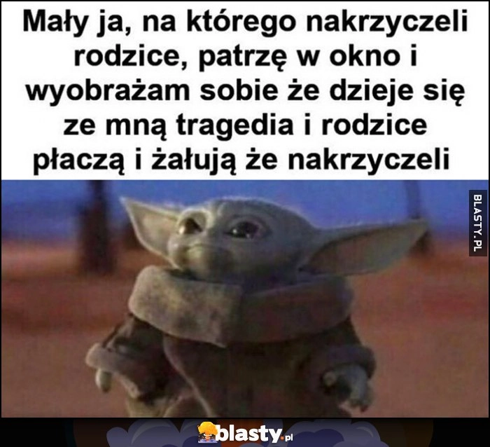 
    Mały ja na którego nakrzyczeli rodzice wyobrażam sobie, że dzieje się ze mną tragedia i rodzice płaczą i żałują, że nakrzyczeli Baby Yoda