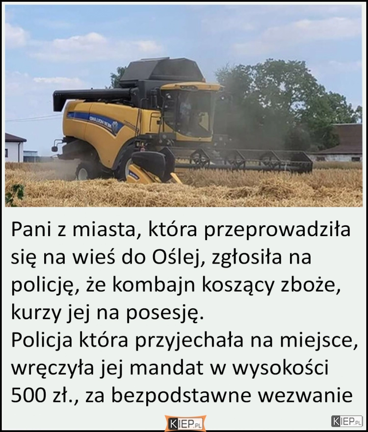 
    Pani z miasta, która przeprowadziła się na wieś do Oślej, zgłosiła na policję, że...