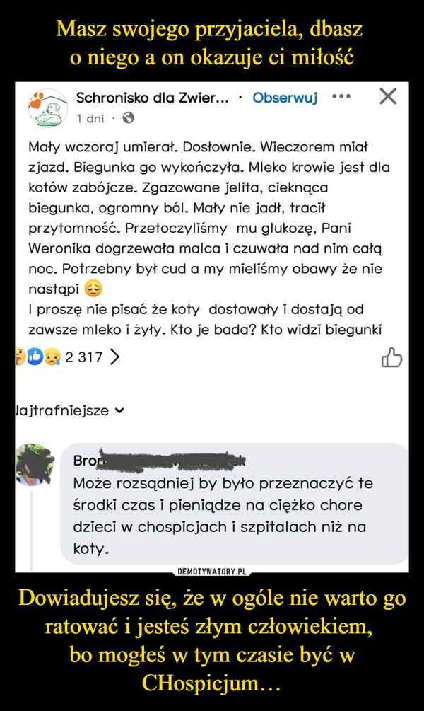 
    Masz swojego przyjaciela, dbasz 
o niego a on okazuje ci miłość Dowiadujesz się, że w ogóle nie warto go ratować i jesteś złym człowiekiem, 
bo mogłeś w tym czasie być w CHospicjum…