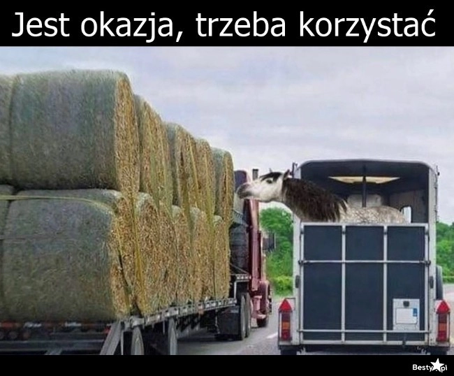 
    Jest okazja, trzeba korzystać 