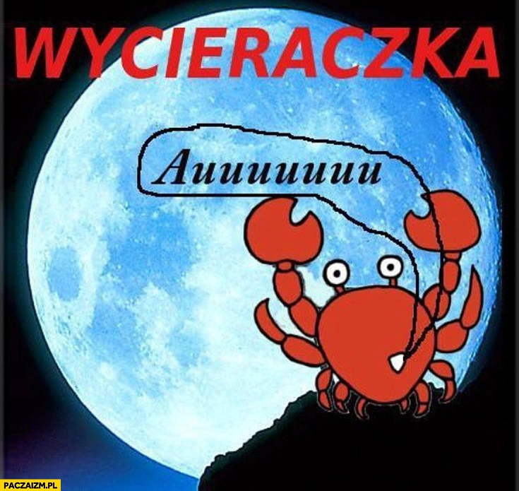 
    Wycieraczka wycie raczka auu