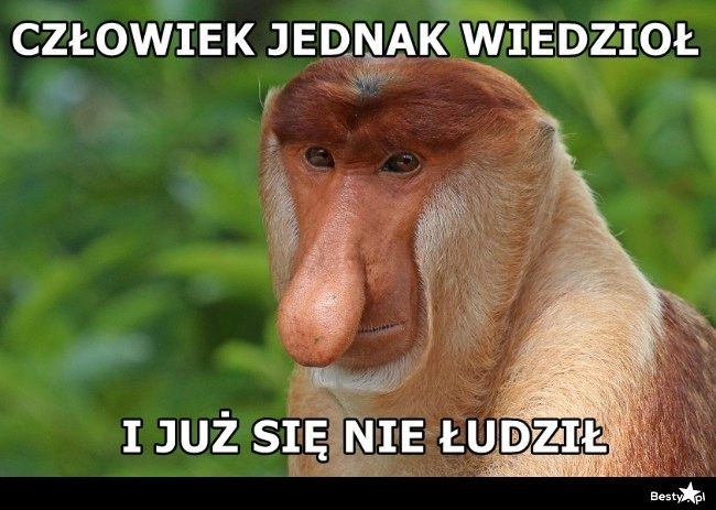 
    Brak oczekiwań 