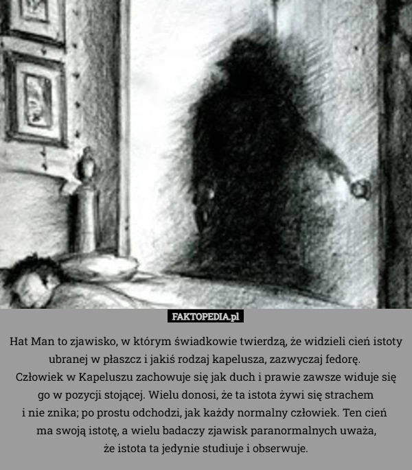 
    Hat Man to zjawisko, w którym świadkowie twierdzą, że widzieli cień istoty