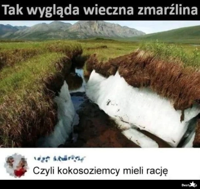 
    Kokosoziemcy 