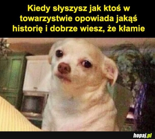 
    Łżesz