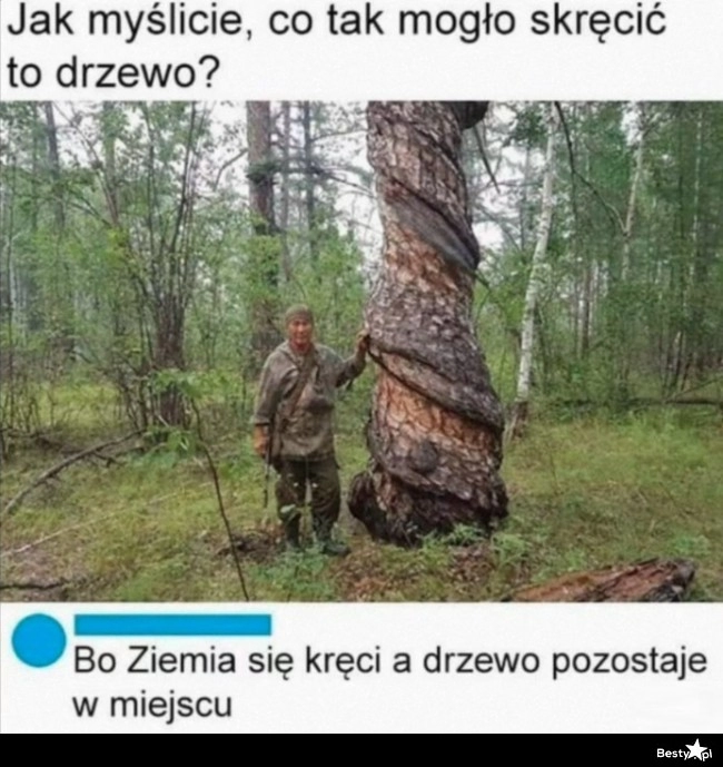 
    Skręcone drzewo 