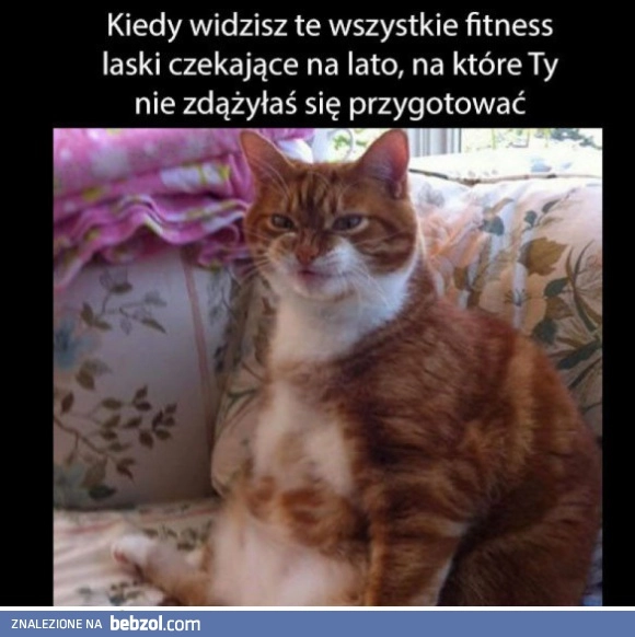 
    Kiedy je widzisz 