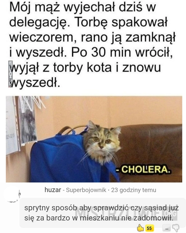 
    Pomysł