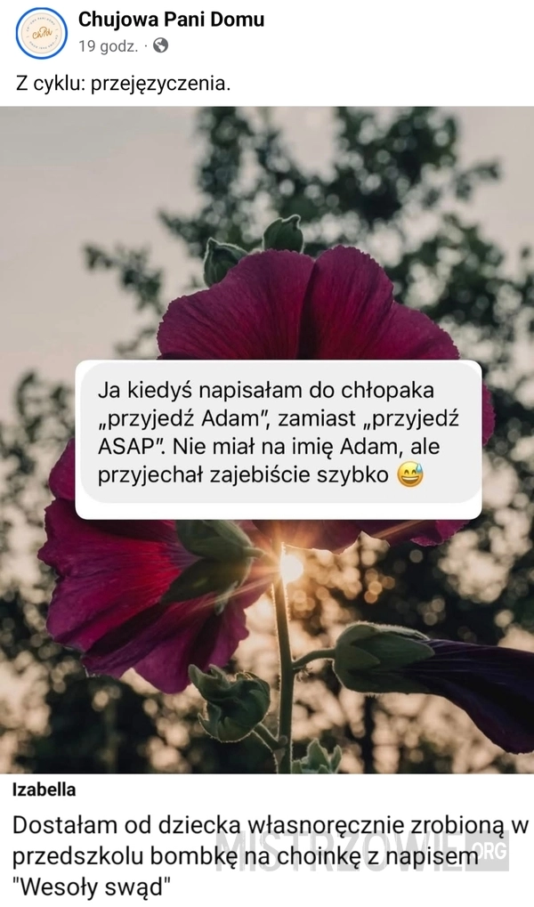 
    Przejęzyczenie
