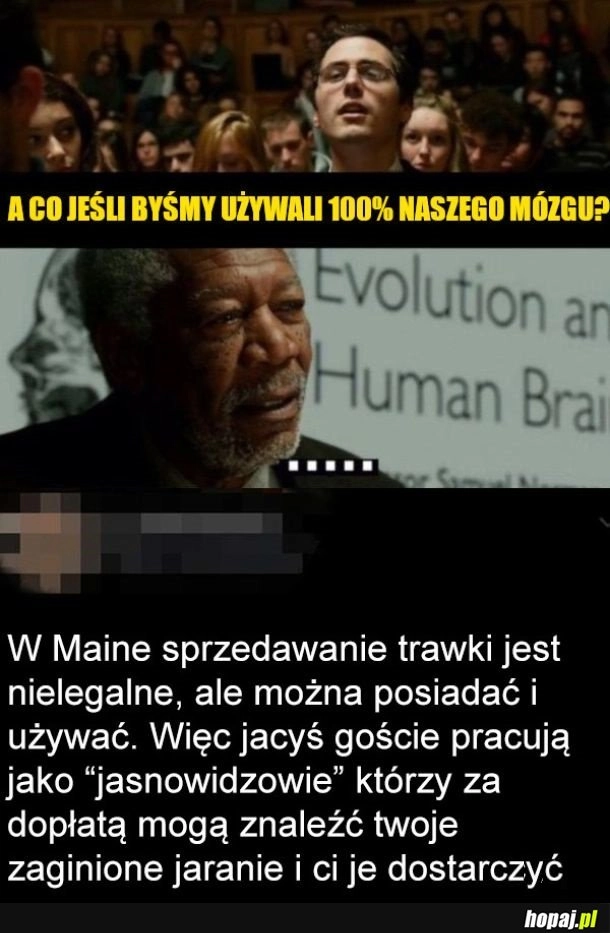 
    100% użycia mózgu