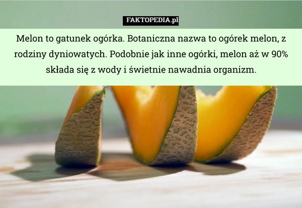 
    Melon to gatunek ogórka. Bo­ta­nicz­na nazwa to ogórek melon, z rodziny