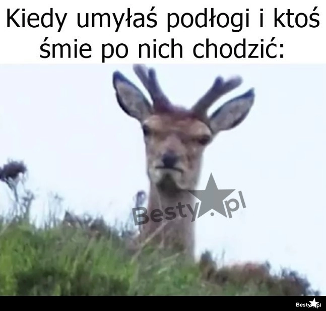 
    No przez chwilę nie może być czysto 