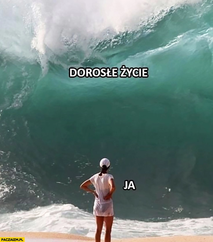 
    Dorosłe życie vs ja wielka fala zalewa