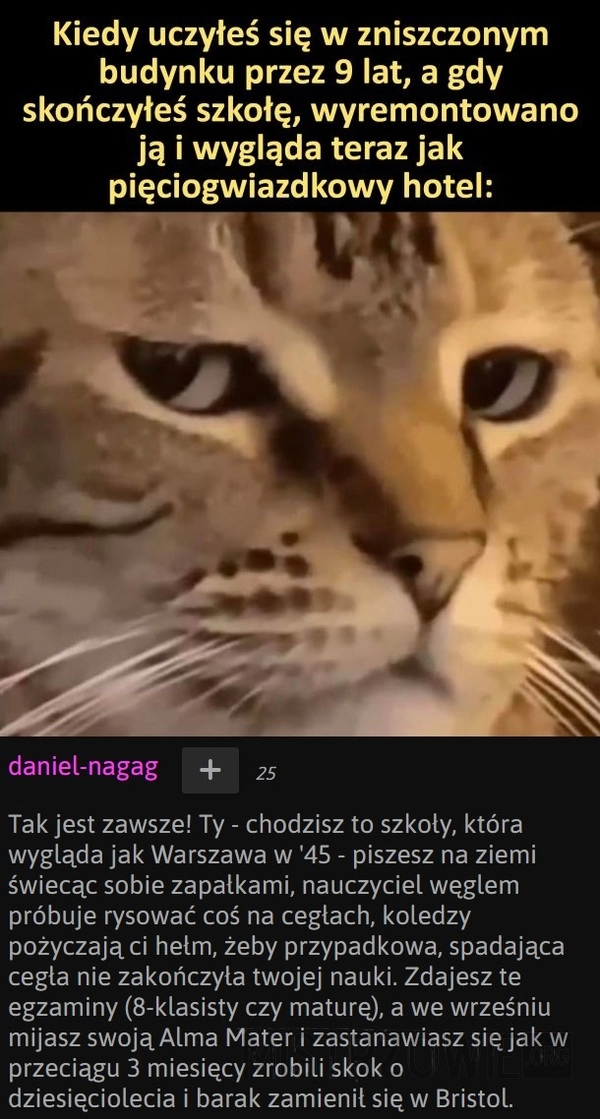 
    Jakieś żarty...