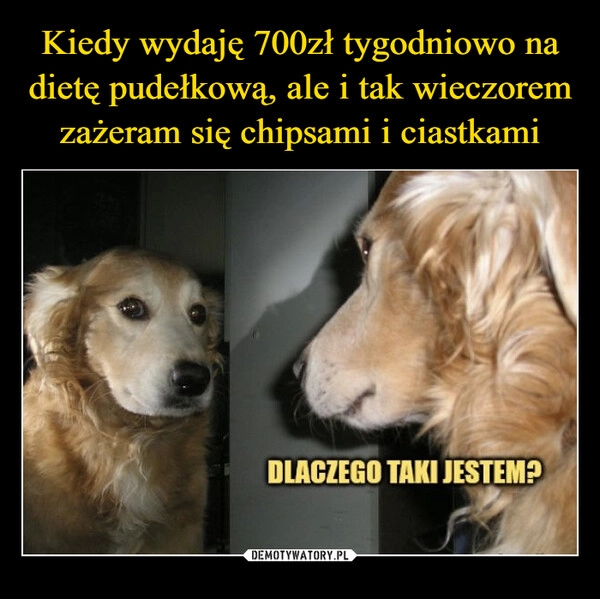 
    Kiedy wydaję 700zł tygodniowo na dietę pudełkową, ale i tak wieczorem zażeram się chipsami i ciastkami