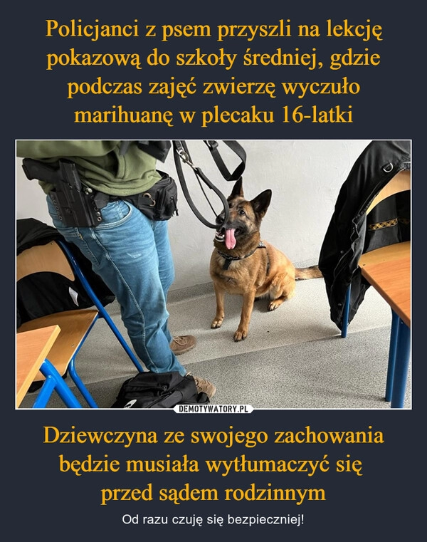 
    Policjanci z psem przyszli na lekcję pokazową do szkoły średniej, gdzie podczas zajęć zwierzę wyczuło marihuanę w plecaku 16-latki Dziewczyna ze swojego zachowania będzie musiała wytłumaczyć się 
przed sądem rodzinnym