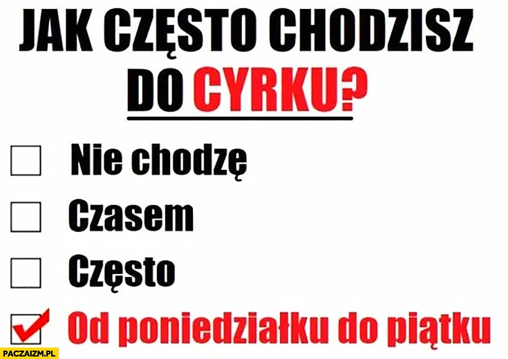 
    Jak często chodzisz do cyrku? Od poniedziałku do piątku