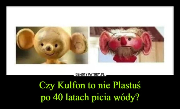 
    Czy Kulfon to nie Plastuś
po 40 latach picia wódy?