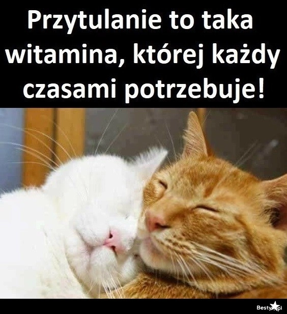 
    Przytulanie 