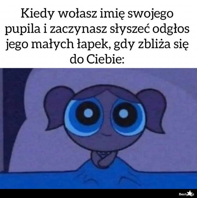 
    Człap, człap, człap 