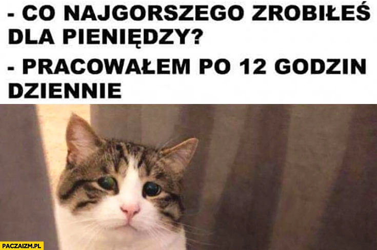 
    Co najgorszego zrobiłeś dla pieniędzy? Pracowałem po 12 godzin dziennie smutny kot