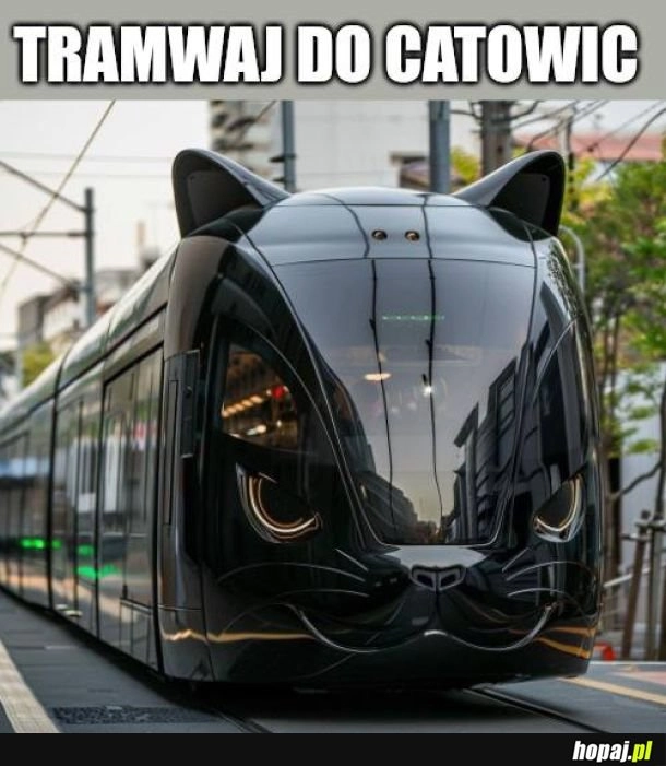 
    Tramwaj zwany ...