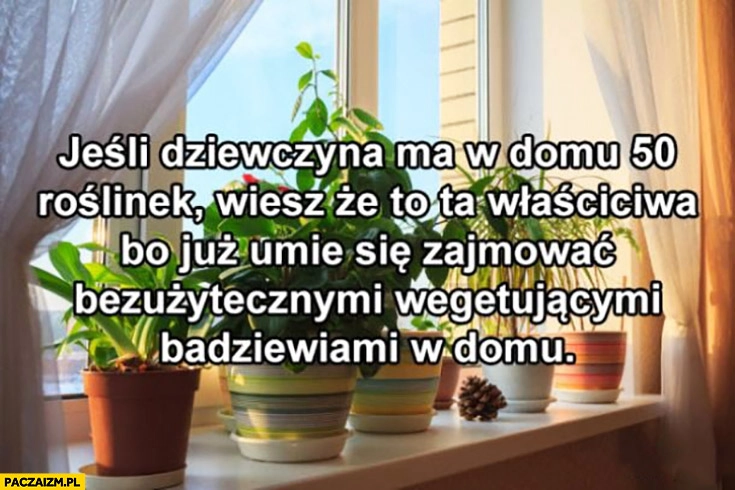 
    Jeśli dziewczyna ma w domu 50 roślinek wiesz, że to ta właściwa bo już umie zajmować się bezużytecznymi wegetującymi badziewiami w domu