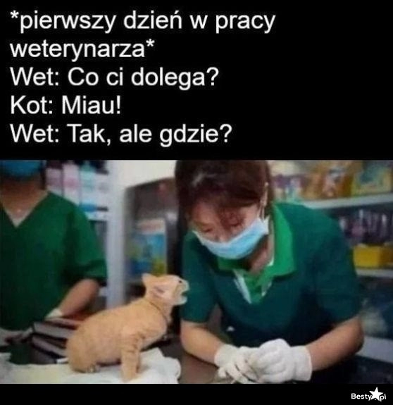 
    Pierwszy dzień w pracy weterynarza 