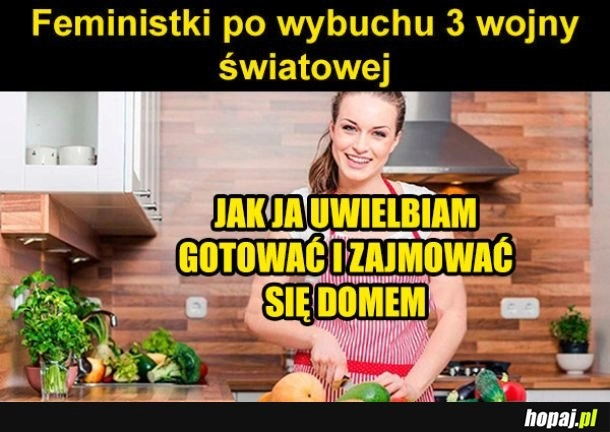 
    Feministki