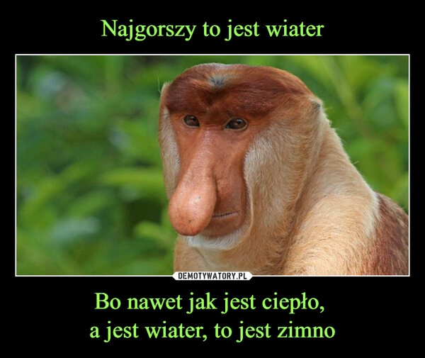 
    Najgorszy to jest wiater Bo nawet jak jest ciepło, 
a jest wiater, to jest zimno