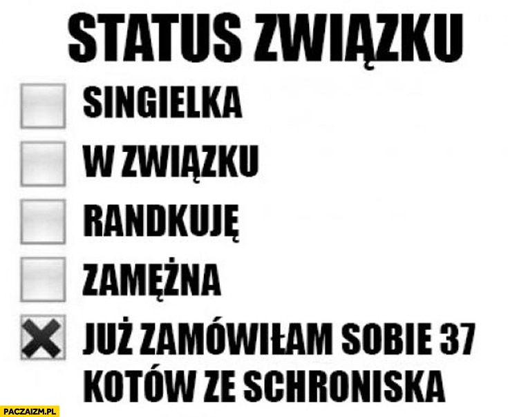 
    Status związku już zamówiłam 37 kotów ze schroniska