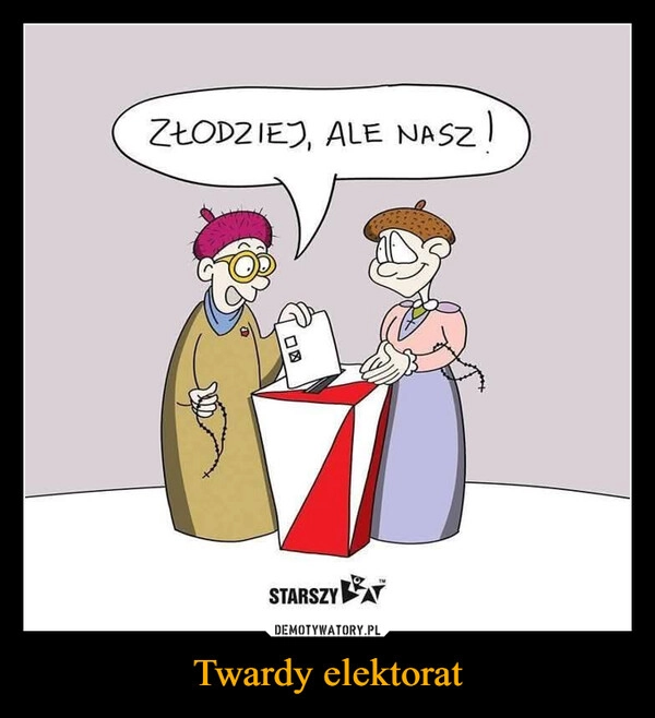 
    Twardy elektorat