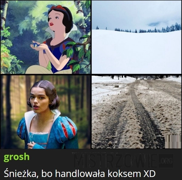 
    Śnieżka