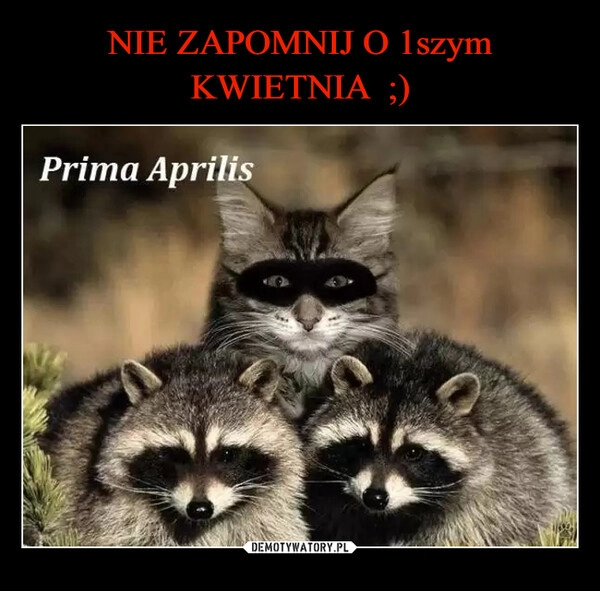 
    NIE ZAPOMNIJ O 1szym KWIETNIA  ;)