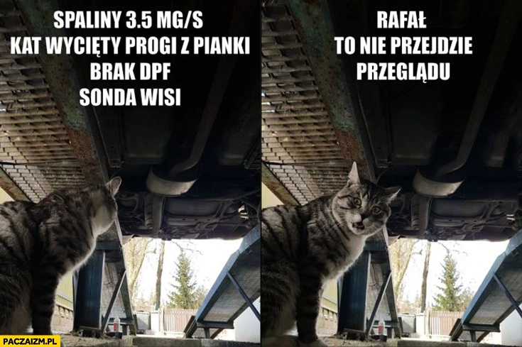 
    Kot ogląda auto samochód Rafał, to nie przejdzie przeglądu